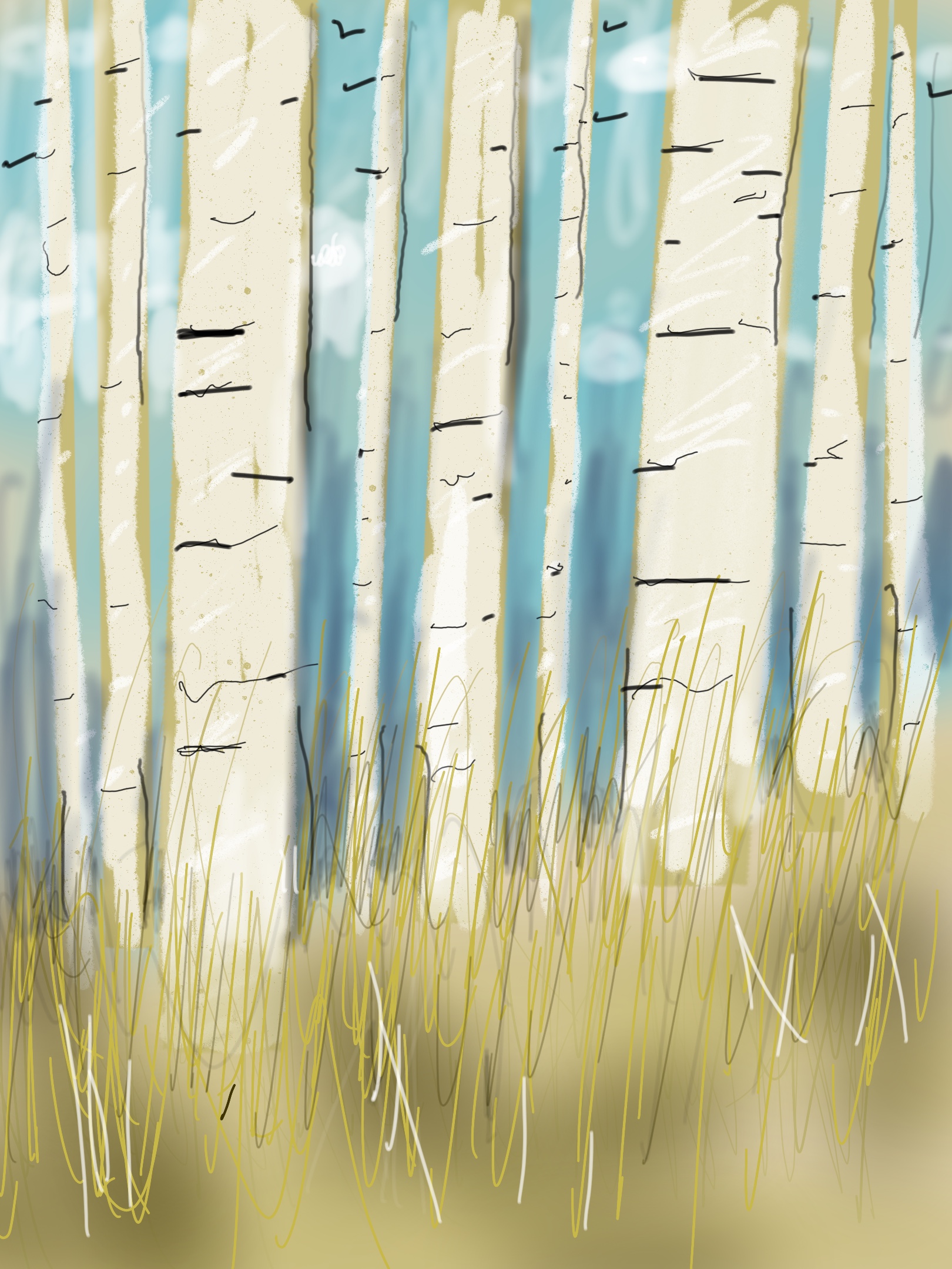 2025-landscape2.jpg