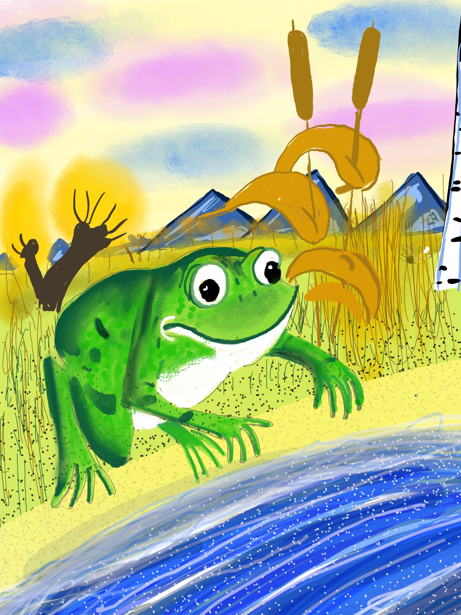 24-8-frog.jpg