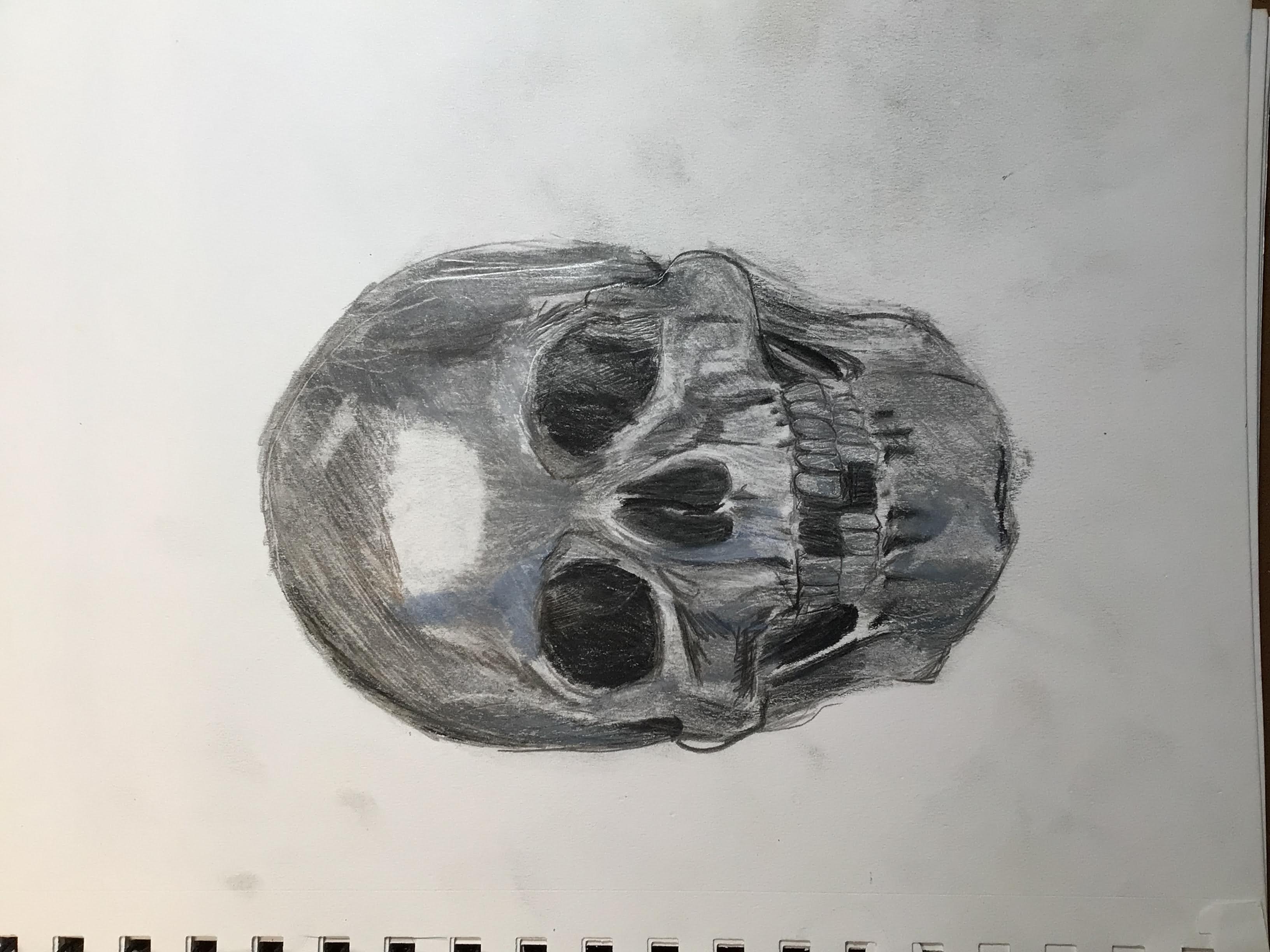 Skull Gray