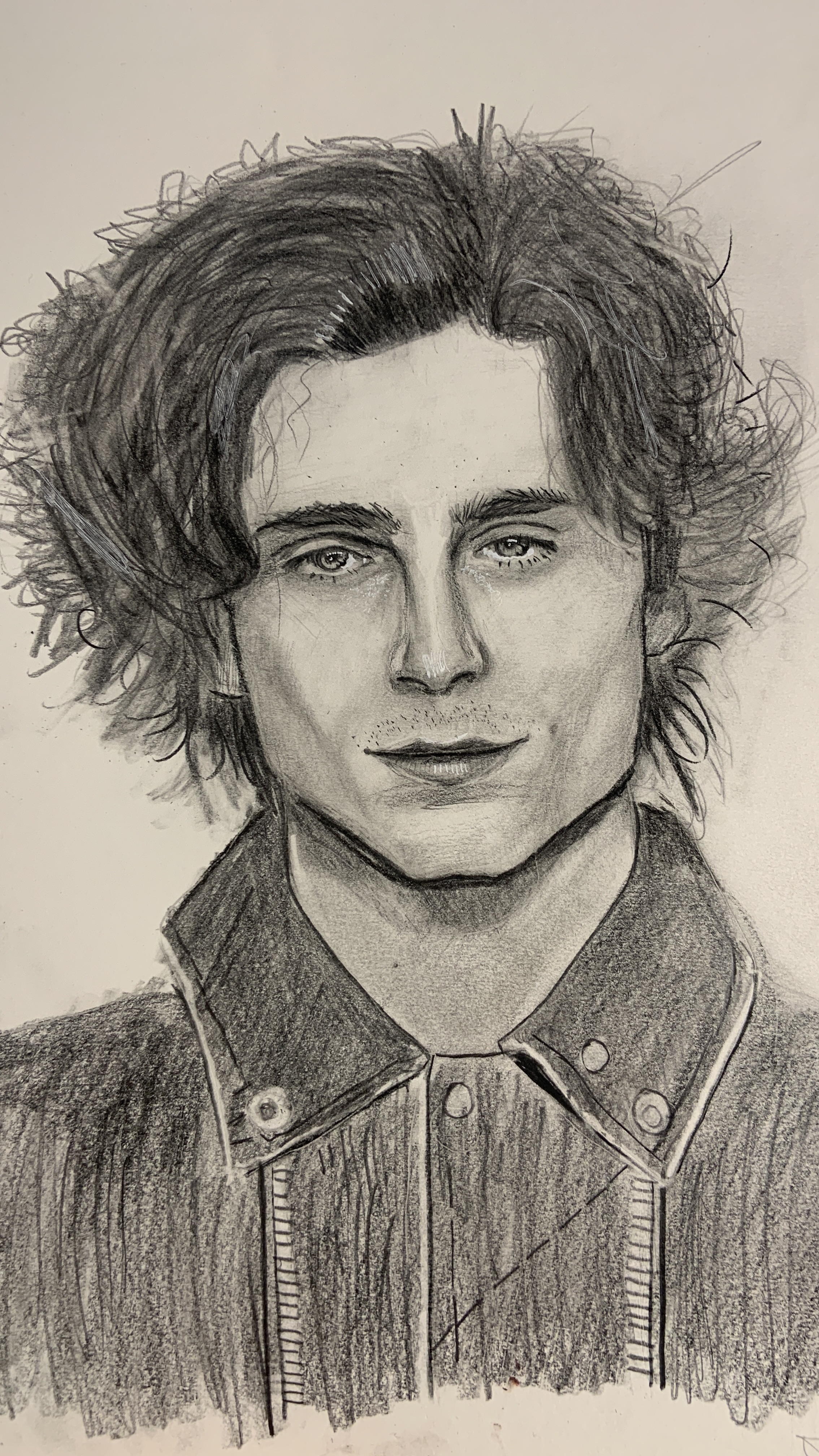 Portrait Art - Timothée Chalamet – Hyperrealism 7x9.5”